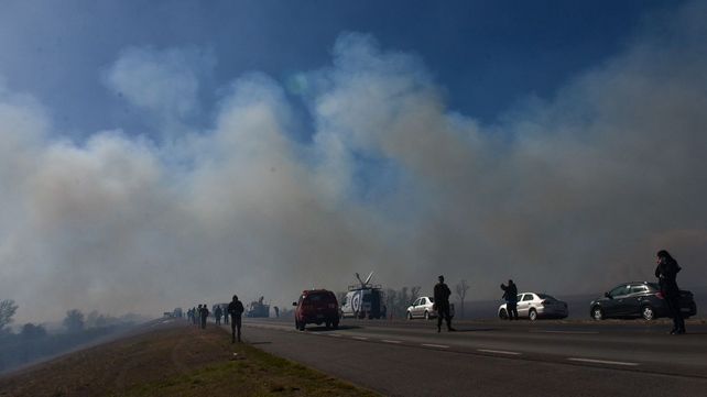 Choque fatal en la ruta a Victoria: colisionan de frente dos camiones y mueren los choferes