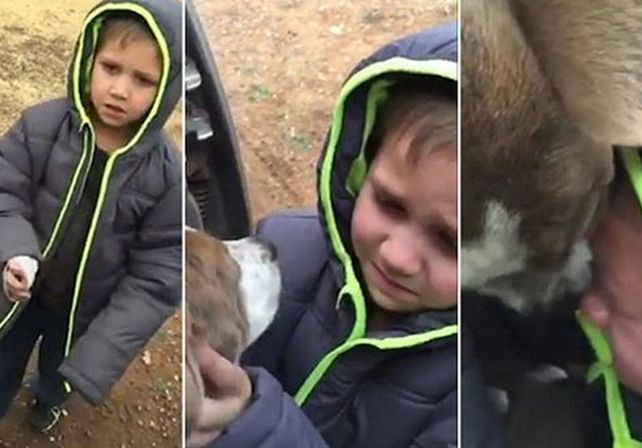 VIDEO: Un nene se reencuentra con su perro y emociona a todos