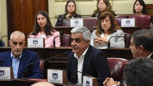 Franco Bartolacci, rector de la UNR, en la Legislatura santafesina