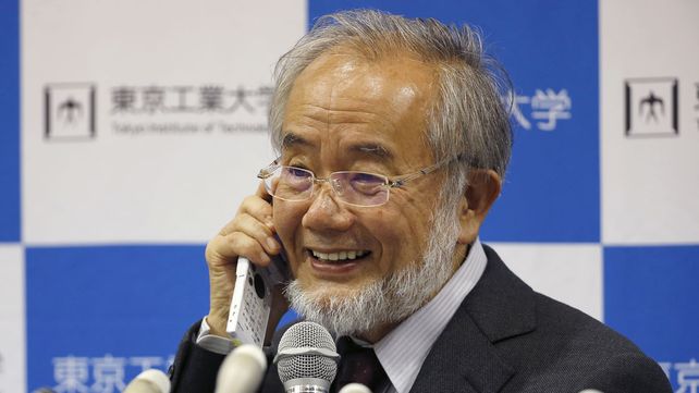 Un japonés obtuvo el Premio Nobel de Medicina 2016