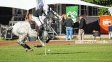 Llega la disputa de la tradicional Copa Néstor López de polo