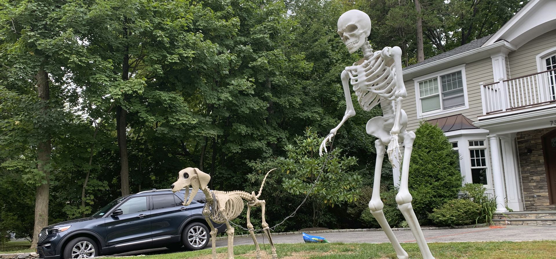 Un imponente esqueleto humano de Halloween aparece junto a un esqueleto canino frente a una casa en el condado de Westchester, Nueva York, el 23 de septiembre de 2024. Los fanáticos de Halloween están encantados con la decoración. (Foto AP/Julia Rubin Un imponente esqueleto humano de Halloween aparece junto a un esqueleto canino frente a una casa en el condado de Westchester, Nueva York, el 23 de septiembre de 2024. Los fanáticos de Halloween están encantados con la decoración. (Foto AP/Julia Rubin