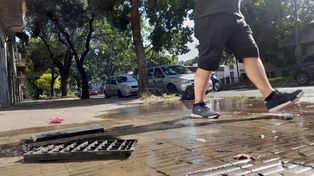 Esta viernes a la mañana sustrajeron medidores de agua en Francia al 2300.&nbsp;