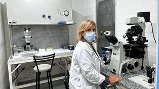 Su elección de ser madres en la era de la Medicina Reproductiva personalizada y la genética reproductiva