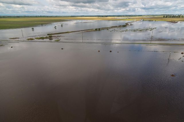 Crisis hídrica. El agua en los campos no baja