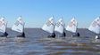 Rosario volverá a ser sede del campeonato histórico de vela deportiva