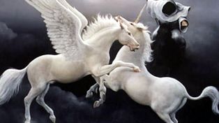 En Italia encontraron un unicornio