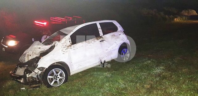 Dos autos chocaron dos vacas en la autopista Santa Fe - Rosario y lo pueden contar