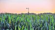Bonos de carbono: el 50% de los productores locales no tiene conocimiento alguno del tema