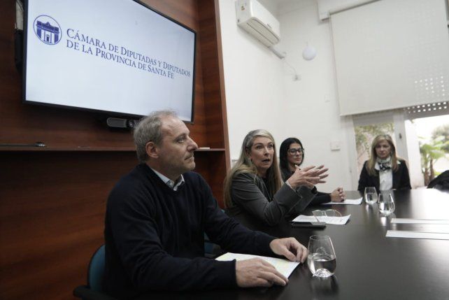El diputado Germán Scavuzzo impulsa medidas para limitar los reclamos.