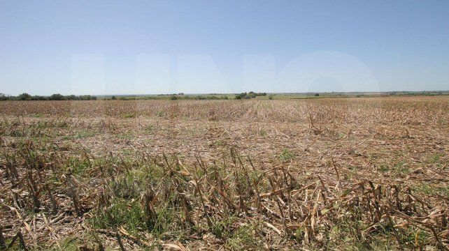 El Servicio Meteorológico Nacional (SMN) indica para este domingo 5 grados de mínima y 18 de máxima. Habrá un aumento de temperaturas hacia el fin de semana.&nbsp; &nbsp; &nbsp; &nbsp; &nbsp; &nbsp; &nbsp; &nbsp; &nbsp; &nbsp; 