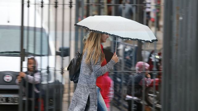 Con 41 milímetros de lluvia, cayeron árboles y se inundaron casas