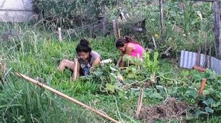 Campo adentro, mujeres se reinventan y sostienen la economía