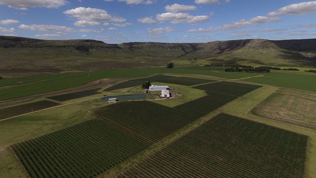 Balcarce pasa a ser geografía destacada para la producción de vino de alta gama