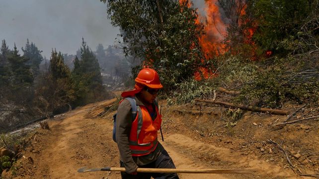 Las imágenes más estremecedoras de los incendios forestales en Chile
