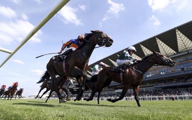 Royal Ascot, las carreras hípicas que se mezclan con el glamour de los royals británicos