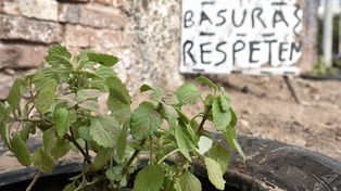 Se erradicaron 40 microbasurales en diferentes barrios