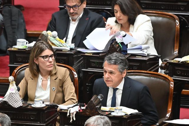 Diego Giuliano pide por un plan de prevención para El Niño