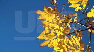 Comenzó una semana típica semana de otoño con temperaturas promedio de entre 14 y 24 grados centígrados. SMN pronosticó un día de lluvias&nbsp;