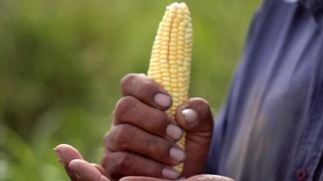 Conservaci&oacute;n. Producci&oacute;n sustentable en comunidades locales.
