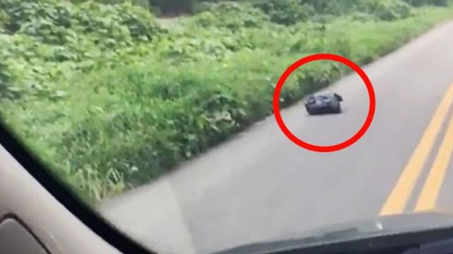 Vio una bolsa de basura que se movía en la ruta: frenó y salvó una vida