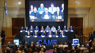 Diab estará al frente de Came, entidad gremial empresaria que representa a 1.491 federaciones, cámaras, centros y uniones de la industria y los parques industriales, el comercio y los servicios, el turismo, las economías regionales, la construcción, los jóvenes y las mujeres empresarias de todo el país.
