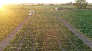 El Grupo Indecar lanza un Centro Agrotecnológico Experimental