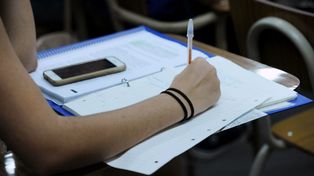 Los estudiantes y el acceso al mercado laboral: una preocupación global