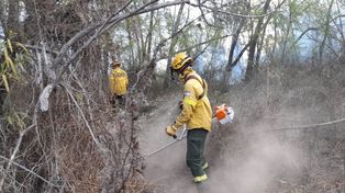Los incendios forestales en las islas causaron severos daños ambientales y los efectos también se sintieron en Rosario. &nbsp;