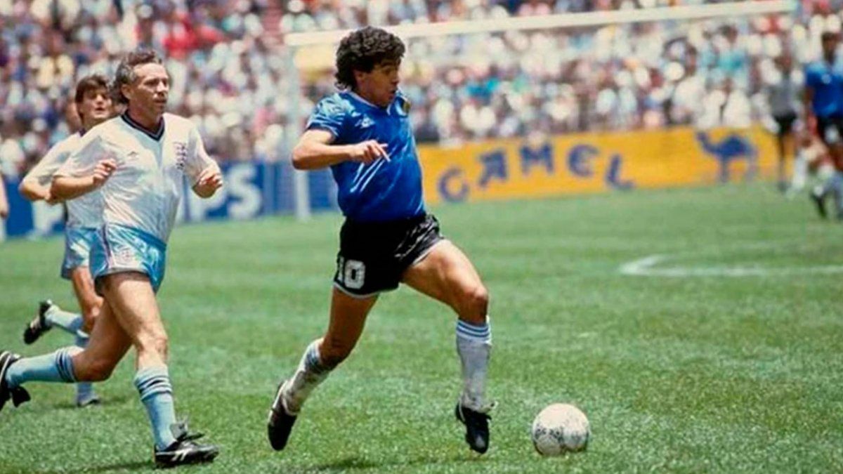Maradona paranormal: gorrión platense le cantaba al momento de morir Maradona paranormal