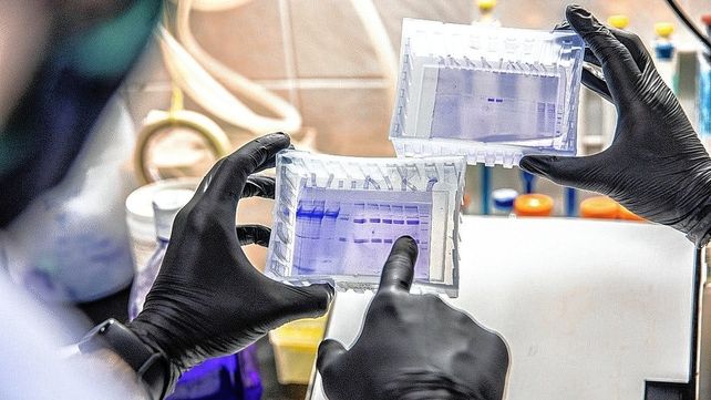 Vacuna contra Covid-19 hecha en Santa Fe tiene 90% de avance