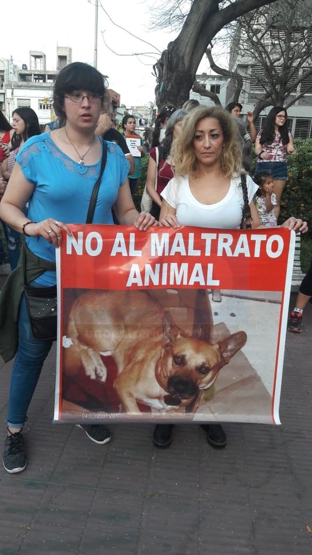 Piden aclarar el ataque a una perra a la que le sacaron los ojos y la apuñalaron