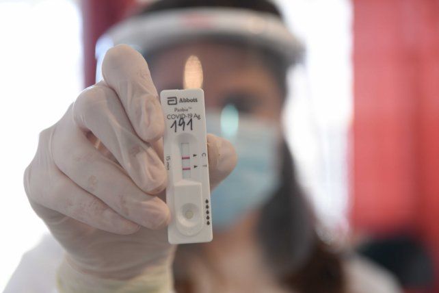 Los hisopados permiten constatar si hay presencia de la enfermedad y tompar medidas preventivas. 