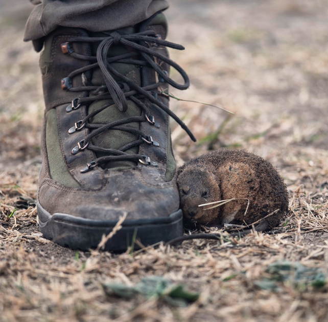 La foto de&nbsp;Marcelo Manera que revolucionó las redes sociales.
