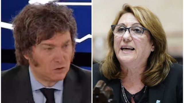 Javier Milei disparó munición gruesa contra el socialismo y Mónica Fein le respondió.&nbsp;