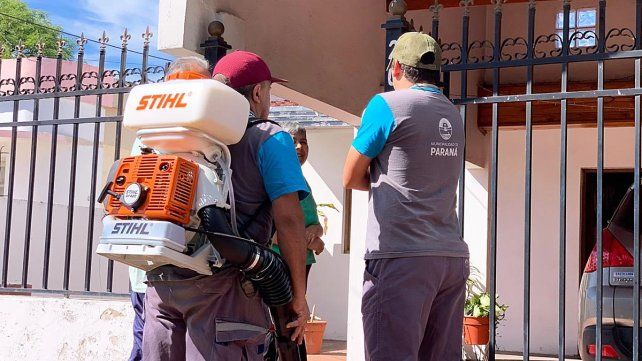 Dengue: se realizó un bloqueo barrial por caso autóctono