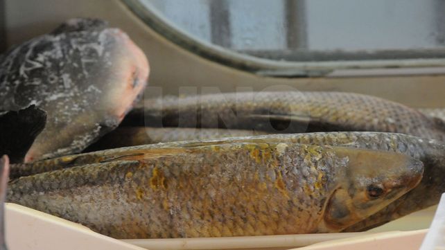 La razón por la que no se come carne el Viernes Santo