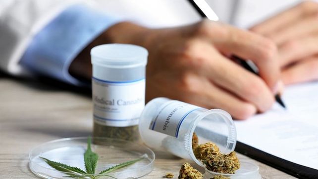 La Cámara de Diputados analiza el proyecto sobre producción de cannabis medicinal.&nbsp; 