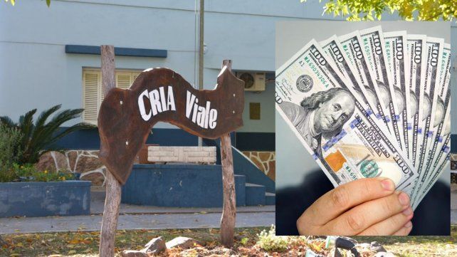 Un hombre de 90 años entregó ahorros en dólares y pesos a un sujeto que se hizo pasar por gerente de un banco. Se abrió una causa y alertan a la comunidad.