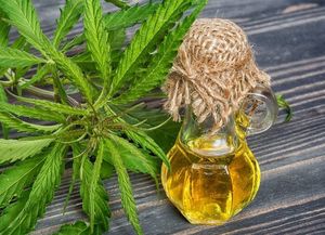 Santa Fe es la primera ciudad de la provincia en regular el acceso al cannabis medicinal