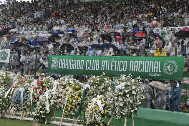 Tribuna. Los seguidores mostraron su agradecimiento a Colombia.