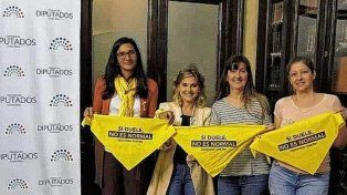 La Ley de Endometriosis ya obtuvo media sanción en Diputados