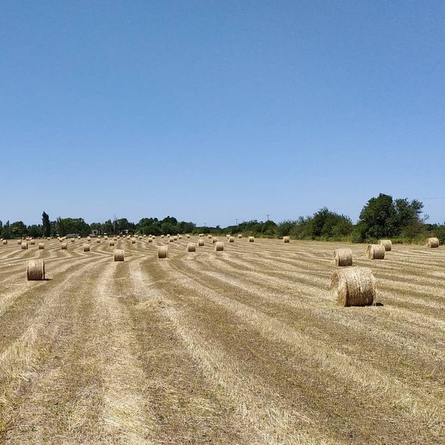 Organizaciones sociales y ambientales piden una nueva Constitución provincial que ponga la vida en el centro