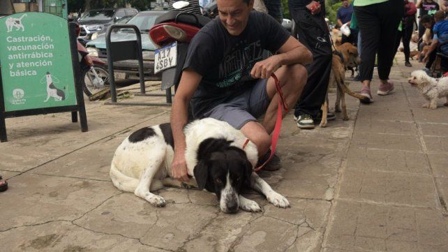 Imusa realizó la castración de 120 animales de compañía en barrio centenario