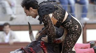 Terrible cornada a un torero en Madrid