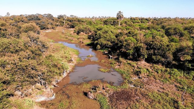 El Parque Nacional Selva de Montiel, más cerca de ser una realidad
