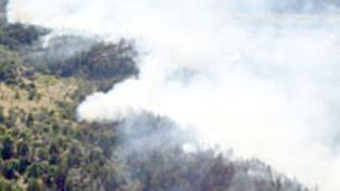 Est&aacute; fuera de control el incendio en el Parque Nacional Los Alerces