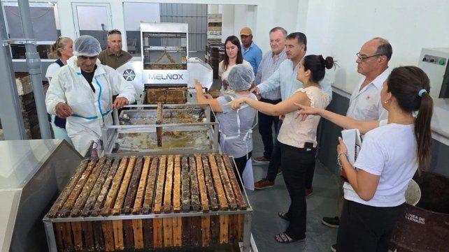 El Senador Michlig visitó la nueva sala de extracción de miel de la Cooperativa de Apicultores de Ambrosetti