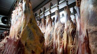 Con el consumo de carne más bajo en 16 años, frigoríficos de Santa Fe evalúan recortar horas de producción