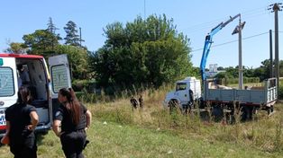 Firmat: murió un operario al recibir una descarga eléctrica